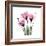 Pink Gentian-Albert Koetsier-Framed Art Print