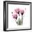 Pink Gentian-Albert Koetsier-Framed Art Print