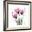 Pink Gentian-Albert Koetsier-Framed Art Print