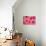 Pink Gerbera Daisies 3-Erin Berzel-Photographic Print displayed on a wall