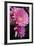 Pink Gerbera Daisies 4-Erin Berzel-Framed Photographic Print