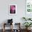 Pink Gerbera Daisies 4-Erin Berzel-Framed Photographic Print displayed on a wall