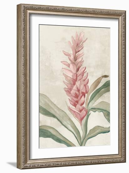 Pink Ginger I-Jacob Q-Framed Art Print