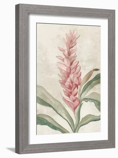 Pink Ginger I-Jacob Q-Framed Art Print