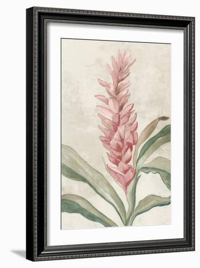 Pink Ginger I-Jacob Q-Framed Premium Giclee Print