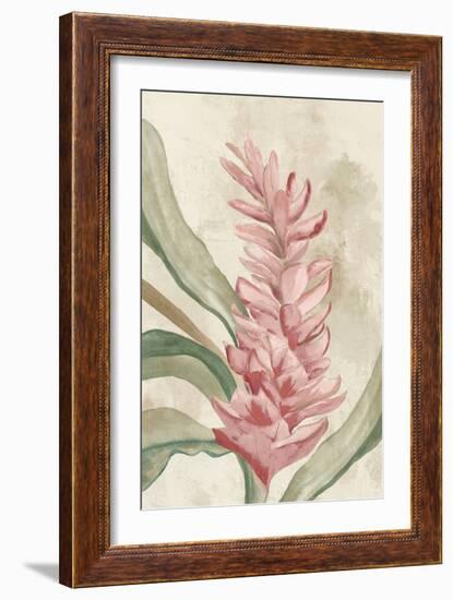 Pink Ginger II-Jacob Q-Framed Art Print