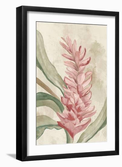 Pink Ginger II-Jacob Q-Framed Art Print