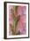 Pink Gladiola I-Kathy Mahan-Framed Photographic Print