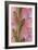 Pink Gladiola I-Kathy Mahan-Framed Photographic Print