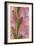 Pink Gladiola I-Kathy Mahan-Framed Photographic Print