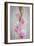 Pink Gladiola II-Kathy Mahan-Framed Photographic Print