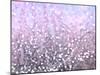 Pink Glitter-Monika Burkhart-Mounted Photographic Print