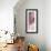 Pink Granadine Cosmo-Miranda York-Framed Art Print displayed on a wall
