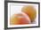 Pink Grapefruits-David Munns-Framed Photographic Print