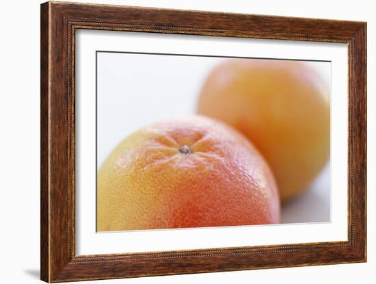 Pink Grapefruits-David Munns-Framed Photographic Print