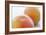 Pink Grapefruits-David Munns-Framed Photographic Print