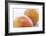 Pink Grapefruits-David Munns-Framed Photographic Print