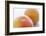 Pink Grapefruits-David Munns-Framed Photographic Print