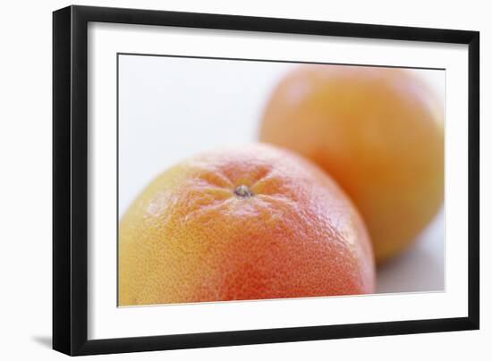 Pink Grapefruits-David Munns-Framed Photographic Print