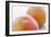 Pink Grapefruits-David Munns-Framed Photographic Print