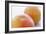 Pink Grapefruits-David Munns-Framed Photographic Print