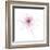 Pink Graphite Flower V-Avery Tillmon-Framed Art Print