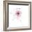 Pink Graphite Flower V-Avery Tillmon-Framed Art Print