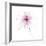 Pink Graphite Flower V-Avery Tillmon-Framed Art Print
