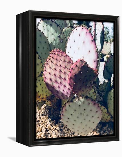 Pink Green Cactus III-Irena Orlov-Framed Premier Image Canvas