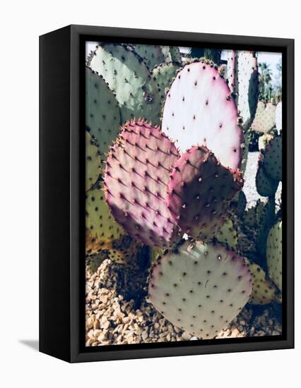 Pink Green Cactus III-Irena Orlov-Framed Premier Image Canvas