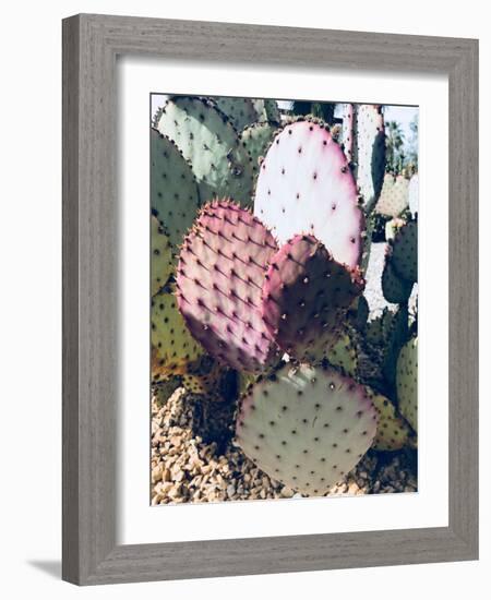 Pink Green Cactus III-Irena Orlov-Framed Photographic Print