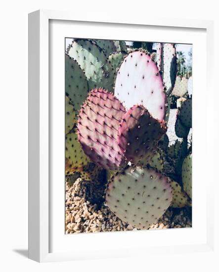 Pink Green Cactus III-Irena Orlov-Framed Photographic Print