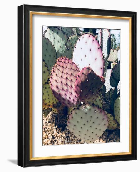 Pink Green Cactus III-Irena Orlov-Framed Photographic Print