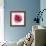 Pink Harmony II-James Guilliam-Framed Giclee Print displayed on a wall