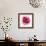 Pink Harmony II-James Guilliam-Framed Giclee Print displayed on a wall