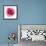 Pink Harmony II-James Guilliam-Framed Giclee Print displayed on a wall