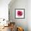 Pink Harmony II-James Guilliam-Framed Giclee Print displayed on a wall