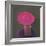 Pink Hat, 2014-Lincoln Seligman-Framed Giclee Print