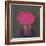 Pink Hat, 2014-Lincoln Seligman-Framed Giclee Print