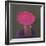 Pink Hat, 2014-Lincoln Seligman-Framed Giclee Print