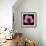 Pink Hibiscus Flower Isolated on Black Background-Christian Slanec-Framed Photographic Print displayed on a wall