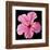 Pink Hibiscus-Christine Zalewski-Framed Art Print