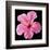 Pink Hibiscus-Christine Zalewski-Framed Art Print