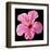 Pink Hibiscus-Christine Zalewski-Framed Art Print