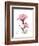 Pink Hibiscus-Albert Koetsier-Framed Art Print