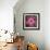 Pink Hibiscus-Lori Hutchison-Framed Photographic Print displayed on a wall