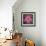 Pink Hibiscus-Lori Hutchison-Framed Photographic Print displayed on a wall