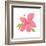 Pink Hibiscus-Nola James-Framed Art Print