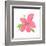 Pink Hibiscus-Nola James-Framed Art Print