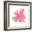 Pink Hibiscus-Nola James-Framed Art Print